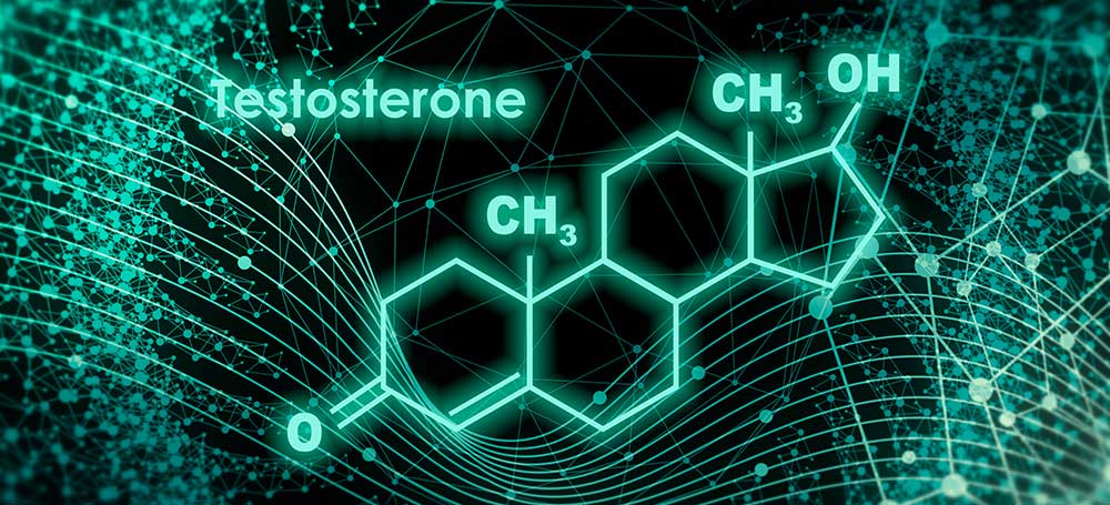How does tesosterone therapy work?